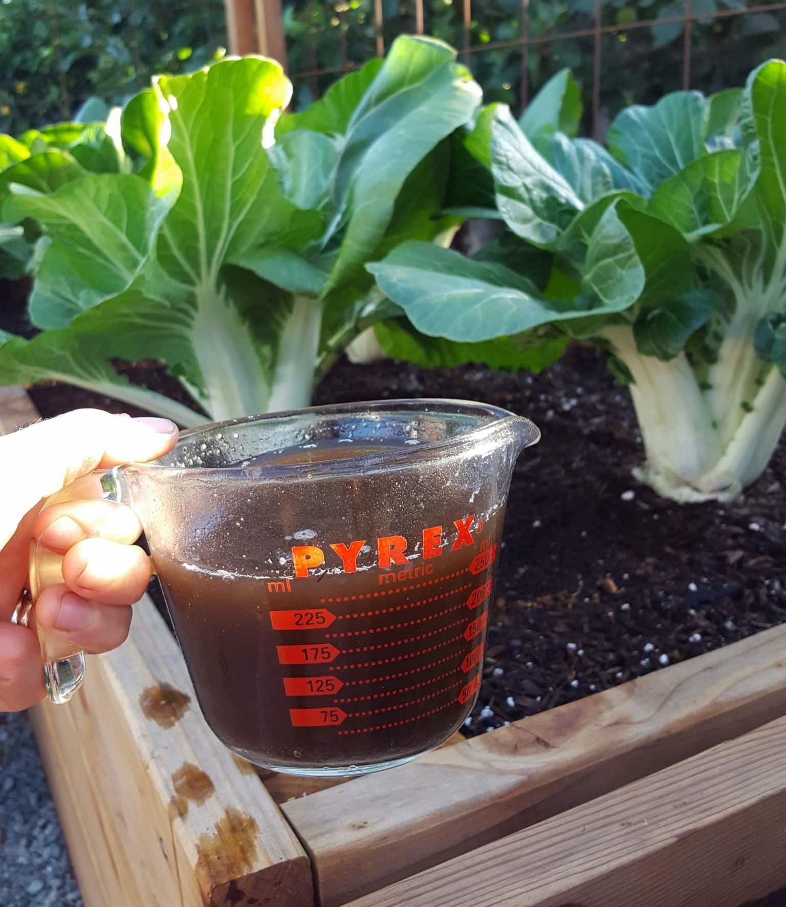 step-by-step brewing compost tea process images