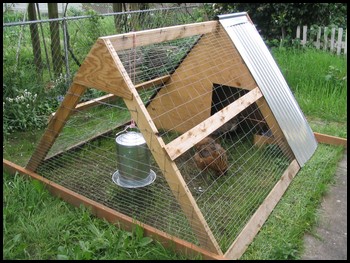 A-frame_chicken_coop