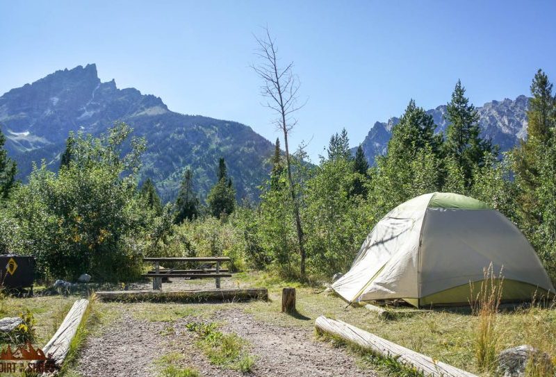 ## Redwood Grove at Yosemite Valley Campground: A...
