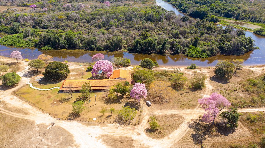 A wide shot of the Pantanal landscape during the wet season, showcasing the flooded plains.