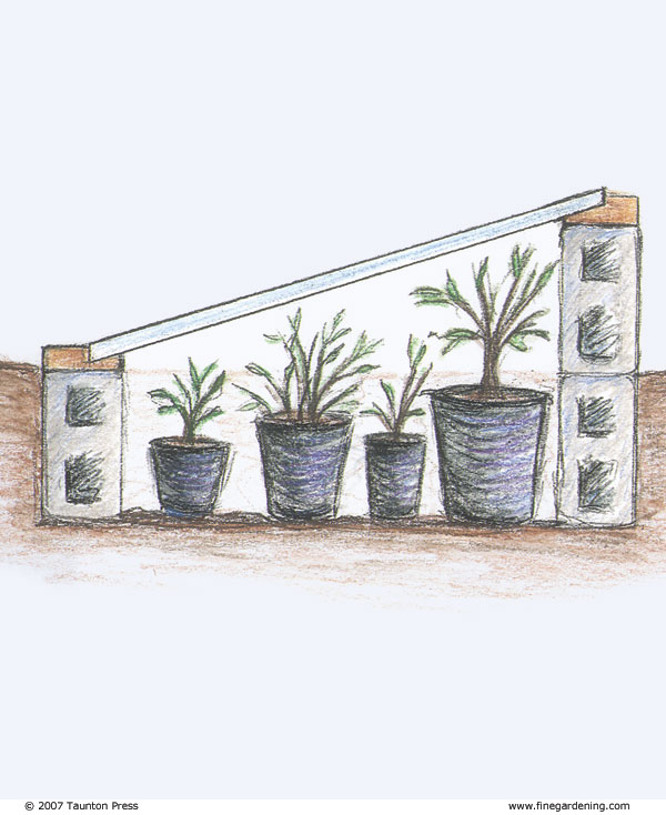 Salad bowl fresh cold frame vegetables winter scene