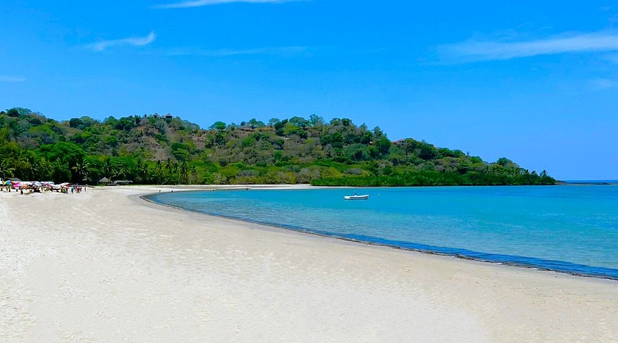 Grilled Camarons (Prawns)