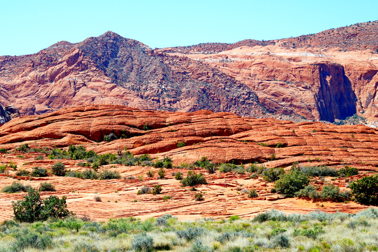 Desert landscape with interesting rock formations and sparse vegetation