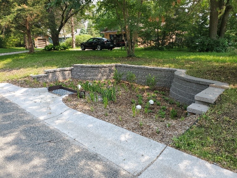 Turning Your Backyard into a Thriving Wildlife...