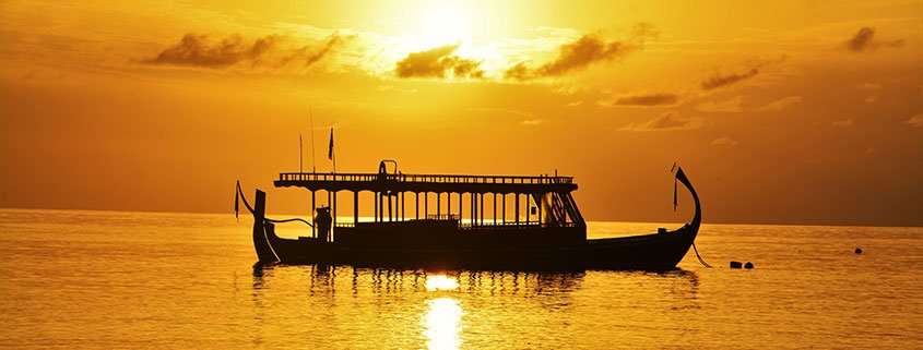 Coral Propagation Project