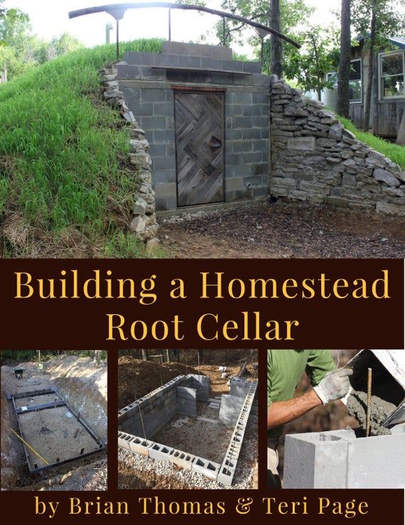 Root cellar filled with produce