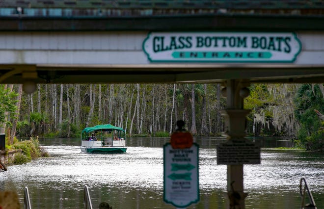 Children exploring tide pools at Fitzgerald Marine Reserve, observing sea stars and anemones.