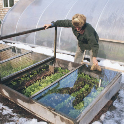 What is a cold frame used for?