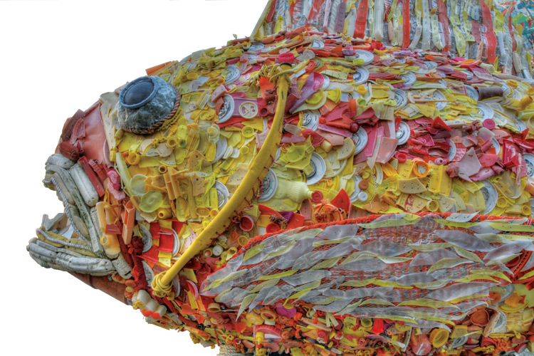 # Coastal Canvas: Find Your Inner Artist (and Cleaner