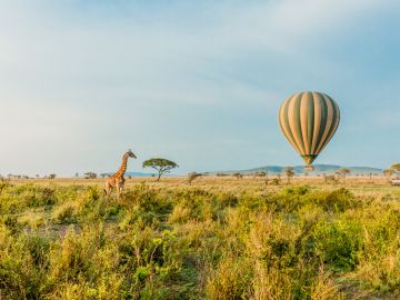 Serengeti Game Drive