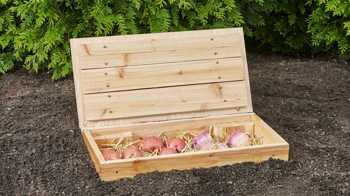 Baskets Potatoes Root Cellar Background