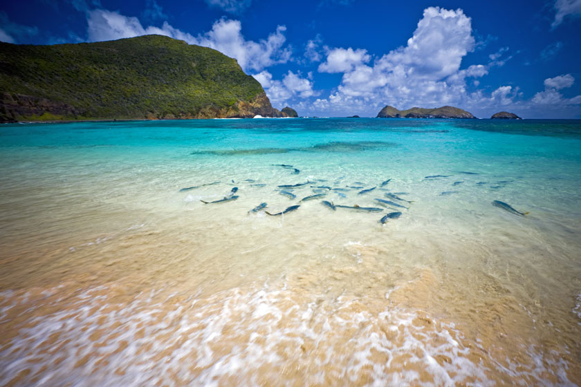 Lord Howe Island vista with Mt Gower and Mt Lidgbird in background, lush vegetation, turquoise waters