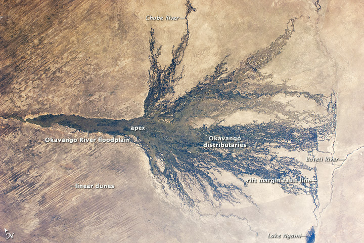 Sunrise over the Okavango Delta with golden light reflecting on the water