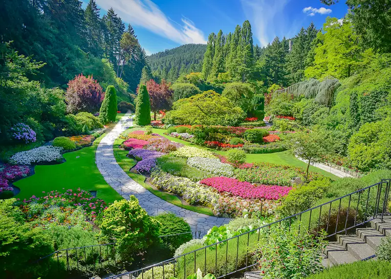 Tofino's Rugged Coastline