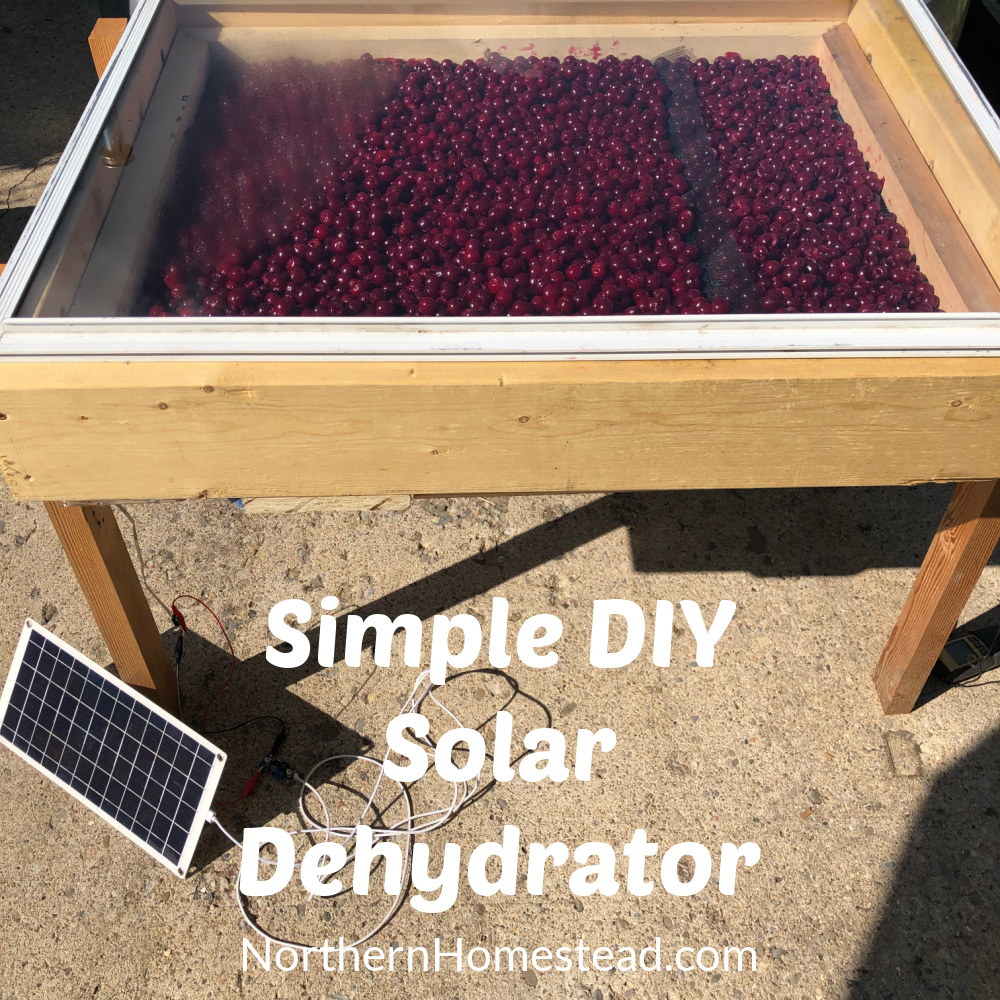 Harness the Sun: Build a DIY Solar Dehydrator f...