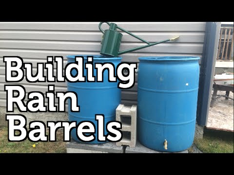 Cleaning a Rain Barrel