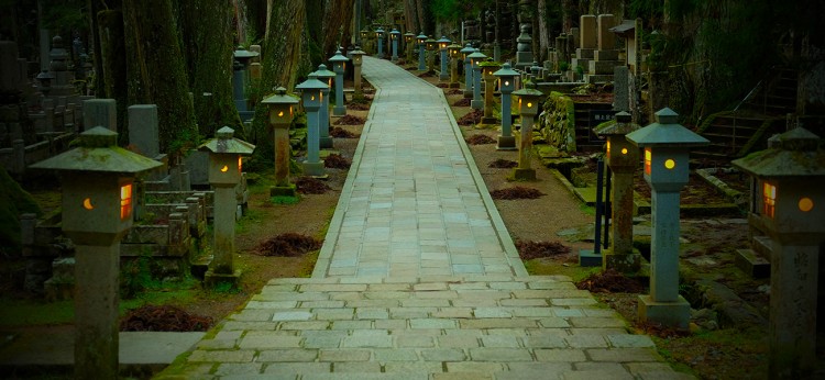 The beautiful scenery along the Kumano Kodo pilgrimage trails in Japan, featuring moss-covered stones and ancient cedar trees for mindful observation and spiritual connection.