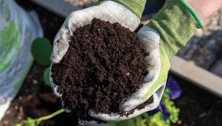 7 Easy Ways to Make Your Garden More Pollinator...