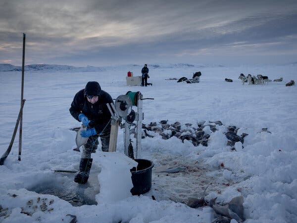 # Dive Deeper: Unforgettable Sea Adventures for Un...