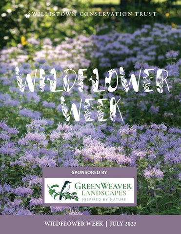 5 Native Shrubs You Didn't Know Were Pollinator...