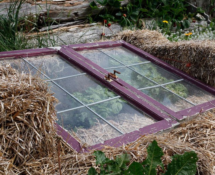 Elevated cold frame