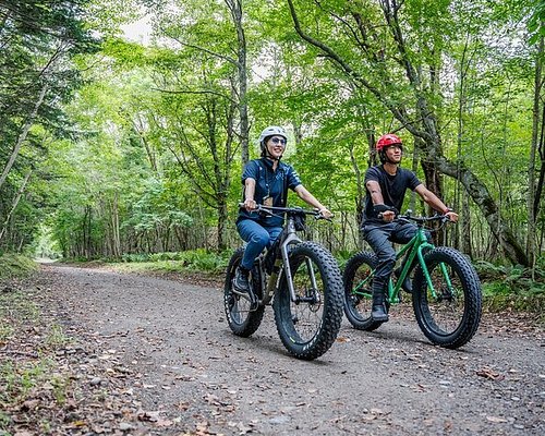 A panoramic view of a snow-covered landscape in Hokkaido during winter, with mountains in the background and a soft, golden light casting across the scene, representing the vastness and beauty of the region.