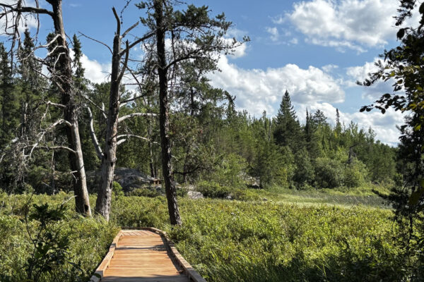Boardwalk in northern Minnesota