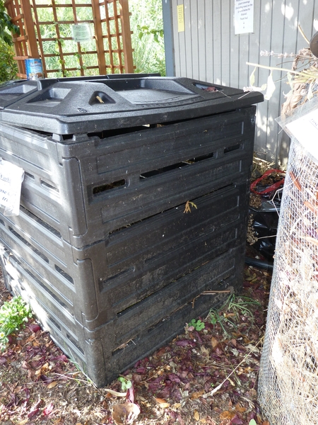 thriving vegetable garden grown using worm castings, with a worm bin visible in the background