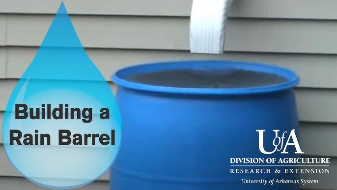 An image of someone filling a watering can from a rain barrel.