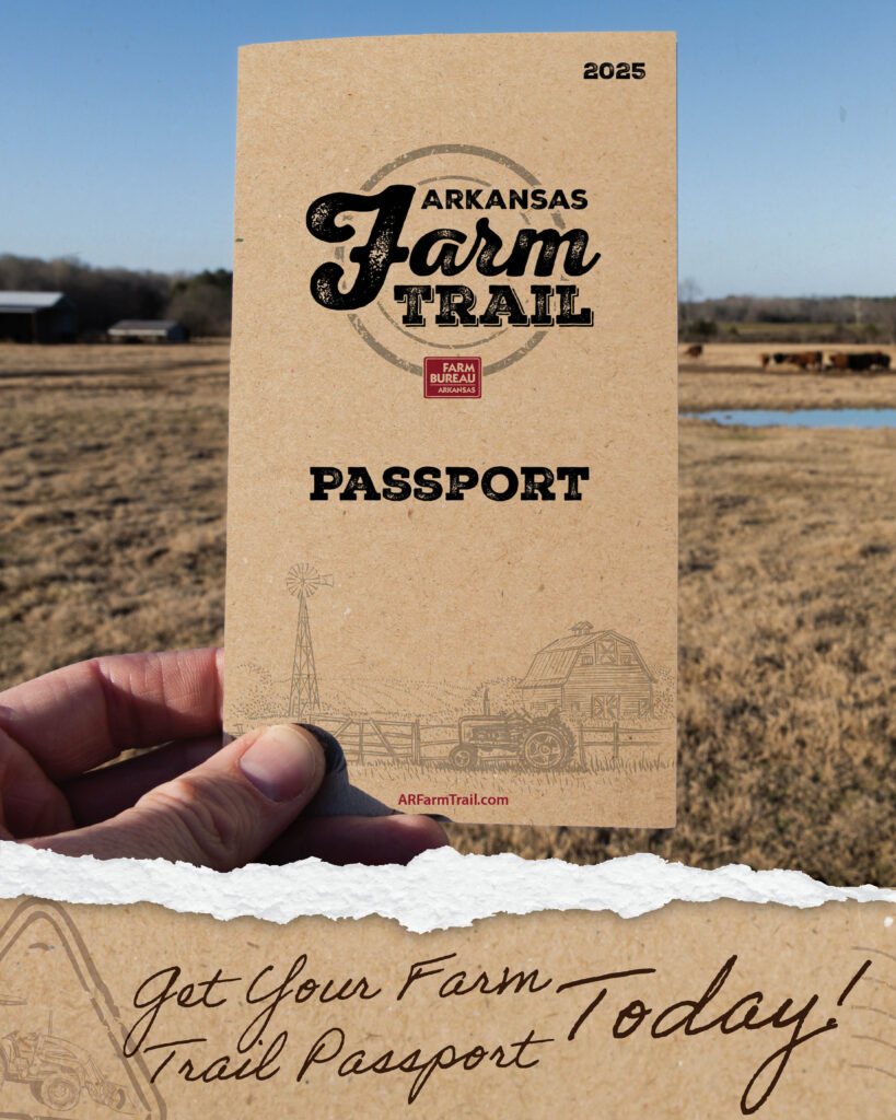 Beyond the Supermarket: A Homesteader's Guide t...