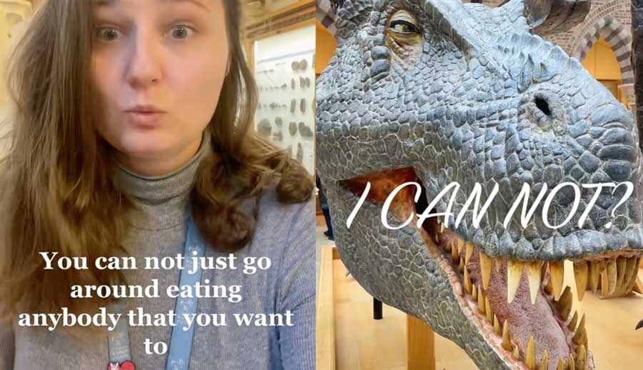 Prompt Marketer Interface