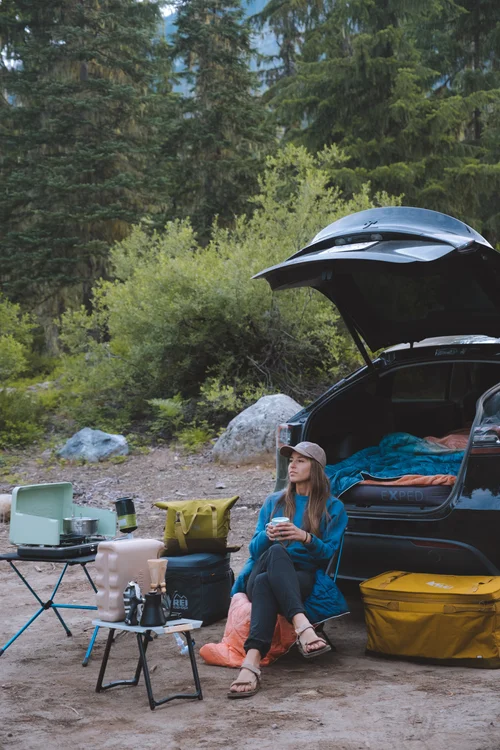 Mexican free-tailed bats emerging from Clarity Tunnel
