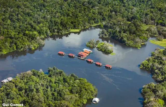 Caiman eyes glowing at night