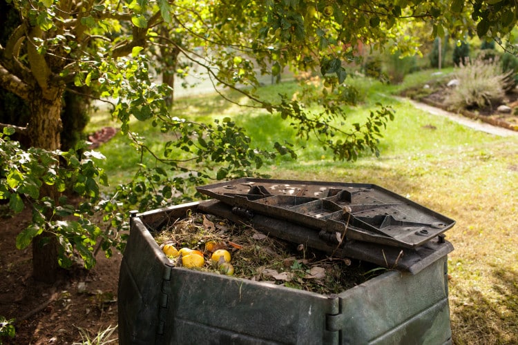 gardener spreading compost raised bed
