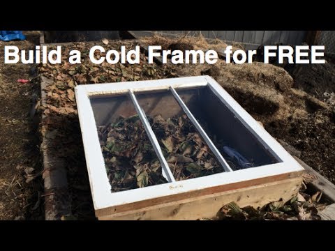 Cold frame placed in a small garden.