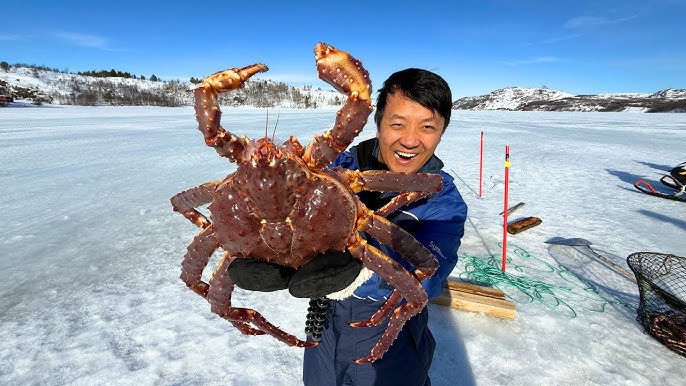 Whale Watching Tour in Tromsø