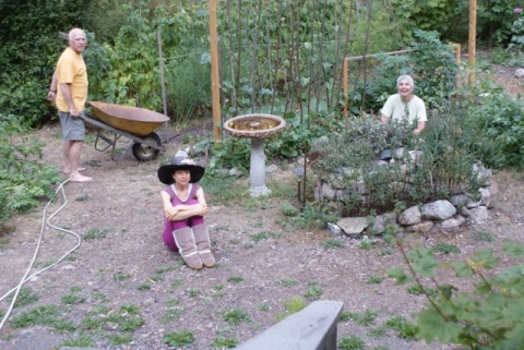 Autumn's Bounty: Transforming Your Garden Harves...