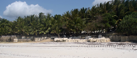 Coral reef restoration project on Koh Rong Sanloem, Cambodia