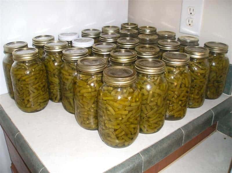 Late Summer Harvest Hack: Quick & Easy Pickled...