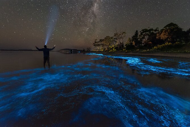 A couple kayaking through the bioluminescent bay in Vieques, Puerto Rico, surrounded by the glowing blue light.