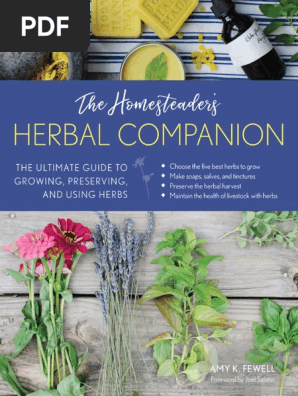 Infuse Your Home: Natural Cleaning Recipes with...