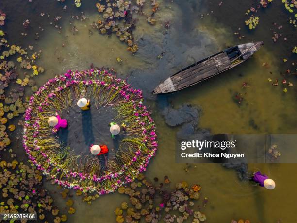 ## Dive Into Wonder: Three Ethical Sea Adventures...