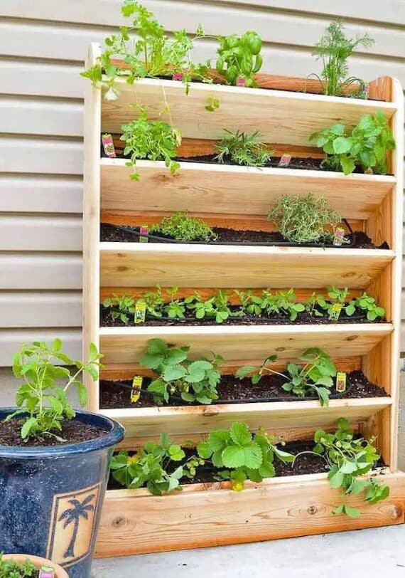 DIY vertical garden ideas using wooden boxes.