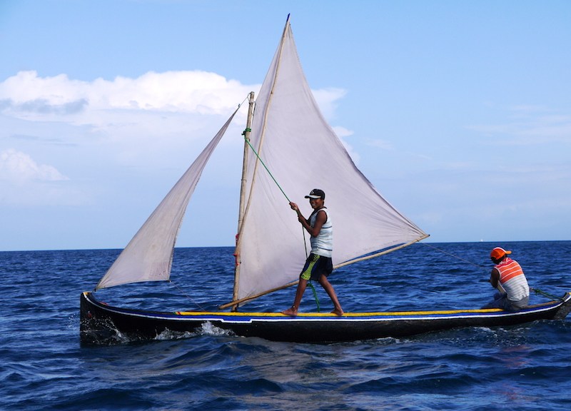 # Dive In, Do Good: Ethical Sea Adventures for Res...