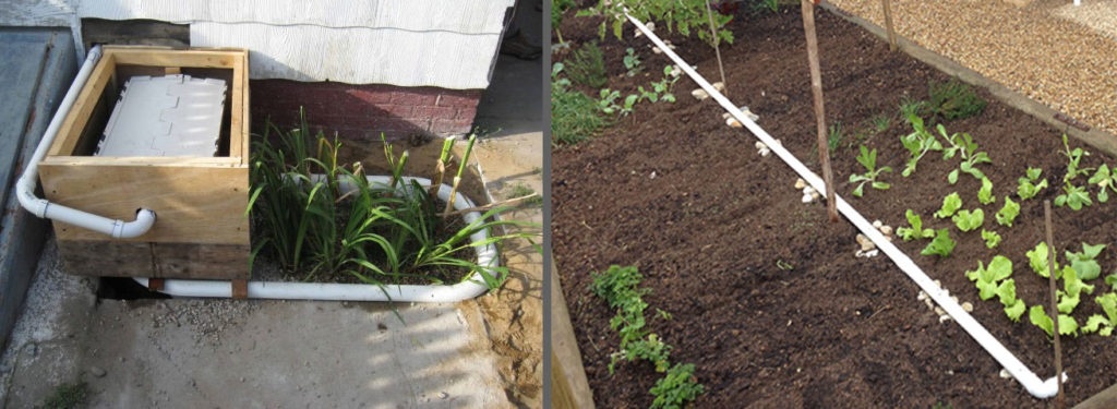 Turn Your Shower into a Garden Oasis: A DIY Gra...