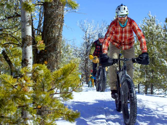 Fat Biking Yellowstone