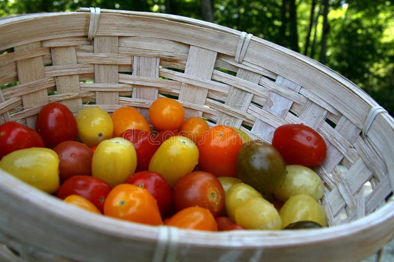 From Garden to Jar: A Simple Guide to Making Ho...