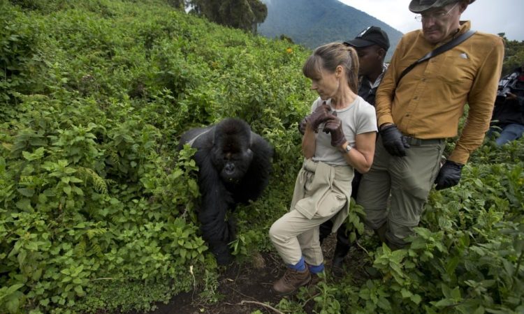 # Beyond the Gorillas: A Responsible Traveler's Gu...
