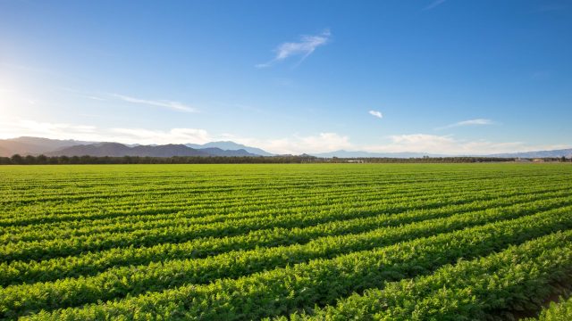 Organic Certification Crisis: Can Small Farms S...