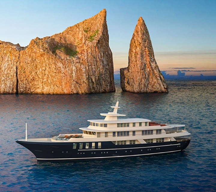 Hundreds of tiny sea turtle hatchlings scramble across the sand towards the ocean under a starry night sky.